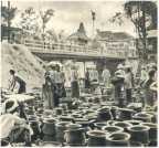 oz361315.jpg
