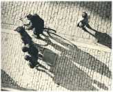 oz361434.jpg