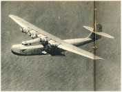 oz361471.jpg