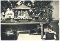 oz361477.jpg