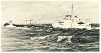 oz361480.jpg