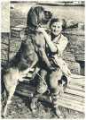 oz361499.jpg