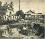 oz361534.jpg