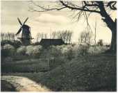 oz361544.jpg
