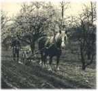 oz361545.jpg