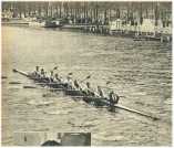 oz361546.jpg