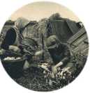 oz361564.jpg