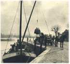 oz361567.jpg