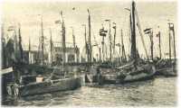 oz361572.jpg