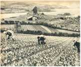 oz361584.jpg