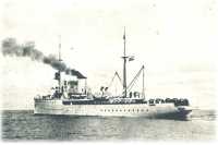 oz361638.jpg