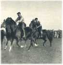 oz361667.jpg