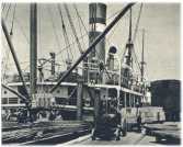 oz361683.jpg