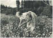 oz361695.jpg