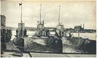 oz361732.jpg