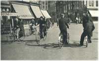 oz361744.jpg
