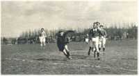 oz361753.jpg