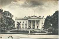 oz361772.jpg