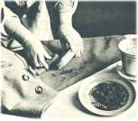 oz361792.jpg