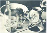 oz361794.jpg