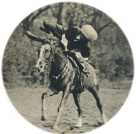 oz361806.jpg