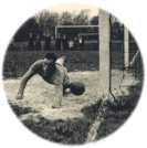 oz361853.jpg