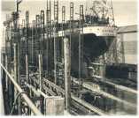 oz361873.jpg