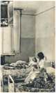 oz361883.jpg