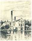 oz361886.jpg
