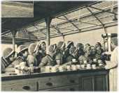 oz361892.jpg