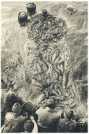 oz361910.jpg