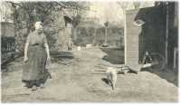 oz361922.jpg