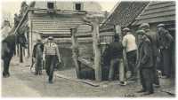 oz361924.jpg
