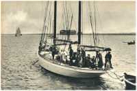 oz361926.jpg
