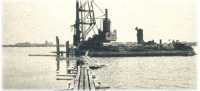 oz361936.jpg
