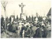 oz361937.jpg
