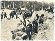 oz361942.jpg