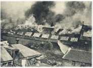 oz361947.jpg
