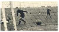 oz361962.jpg