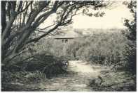 oz362024.jpg
