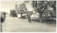 oz362050.jpg