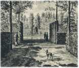 oz362120.jpg