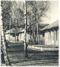 oz362156.jpg