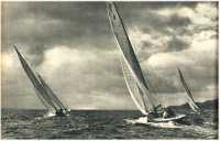 oz362215.jpg