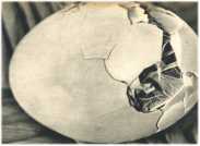 oz362250.jpg