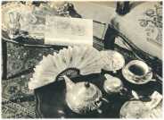 oz362276.jpg