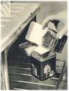 oz362277.jpg