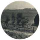 oz362308.jpg