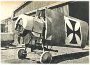 oz362337.jpg