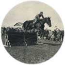 oz362352.jpg